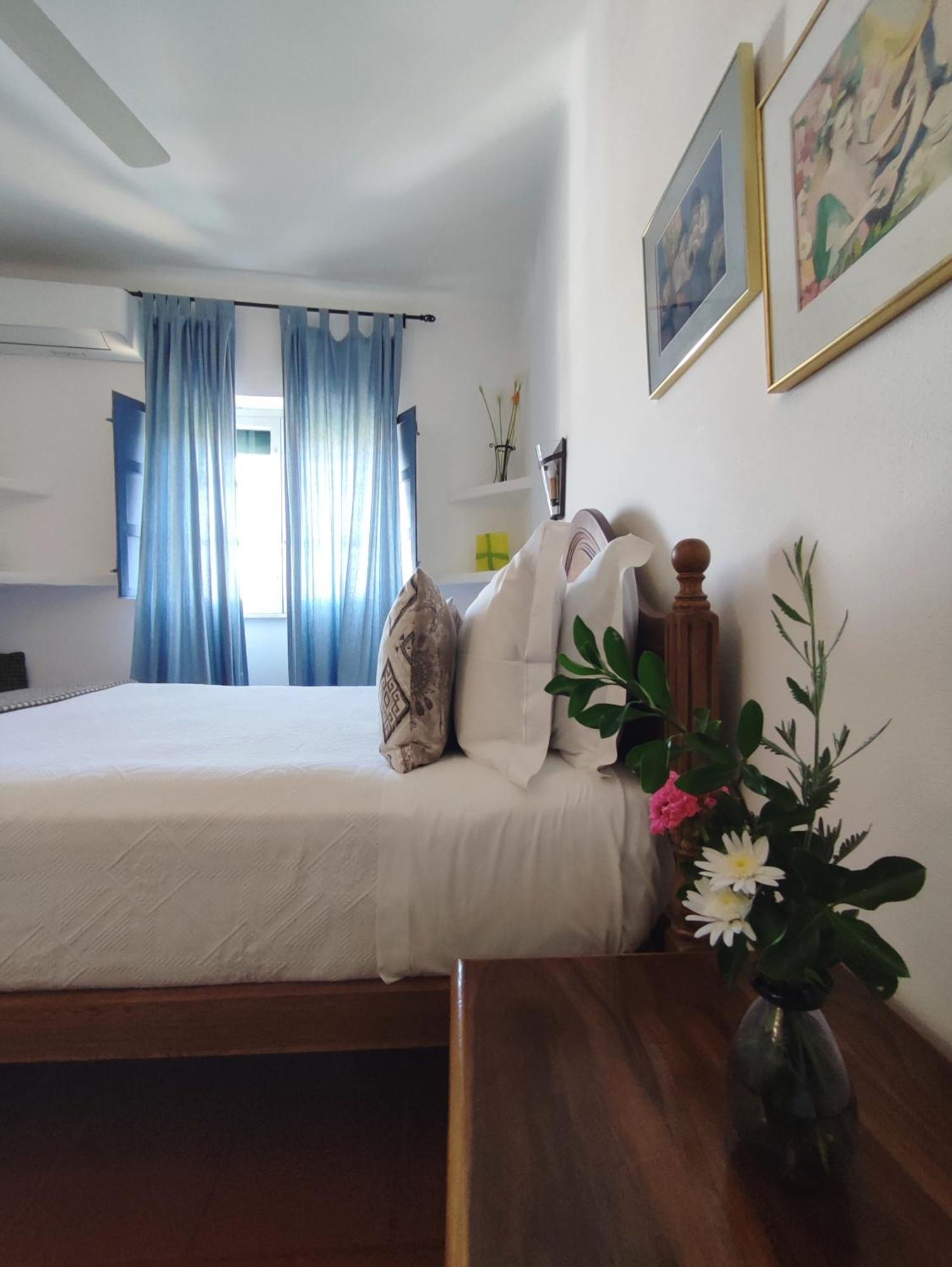 Casa De Terena Konuk evi Dış mekan fotoğraf