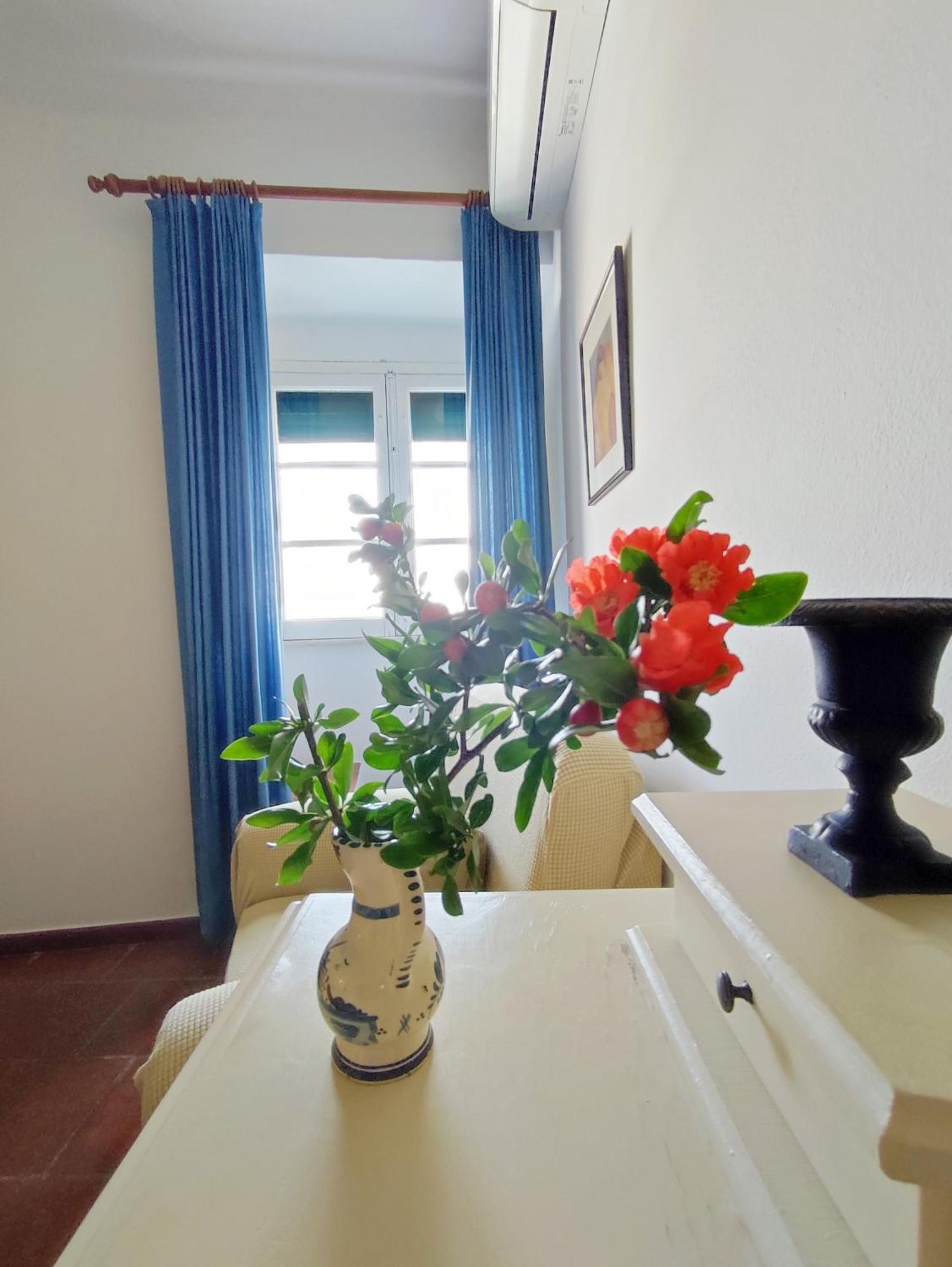Casa De Terena Konuk evi Dış mekan fotoğraf